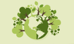 Charlas virtuales por el Día Internacional del Ambiente