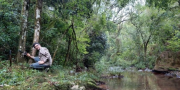 Preservar la selva es clave para salvar la fauna de Misiones