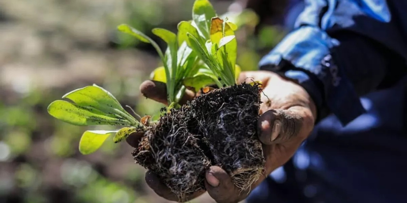 Diseño sin título108