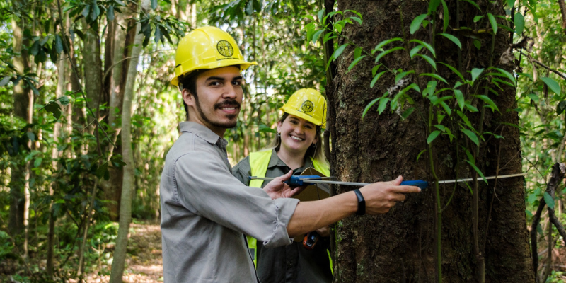 forestalesaniversario