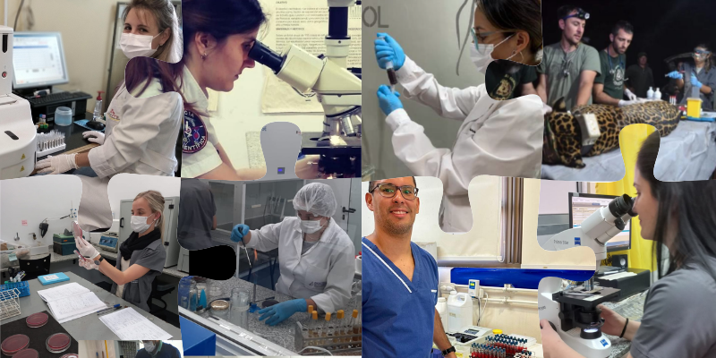 bioquimica50años